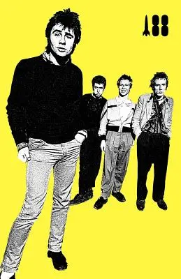 Am fost o adolescentă Sex Pistol - I Was a Teenage Sex Pistol