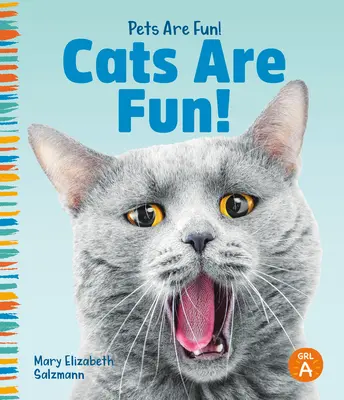 Pisicile sunt amuzante! - Cats Are Fun!