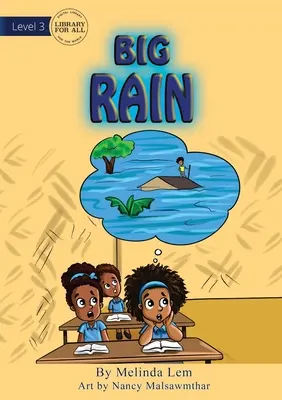 Ploaie mare - Big Rain