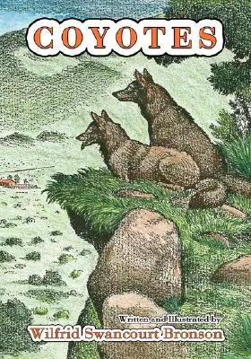 Coioți - Coyotes