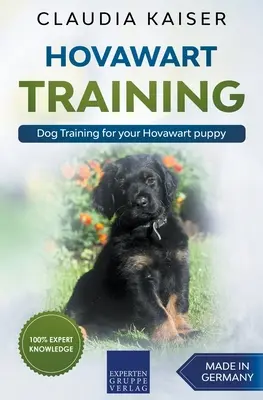 Dresaj Hovawart - Dresaj canin pentru cățelul tău Hovawart - Hovawart Training - Dog Training for your Hovawart puppy