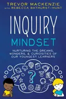 Mentalitatea de investigare - Inquiry Mindset