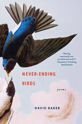 Păsări fără sfârșit: Poezii - Never-Ending Birds: Poems