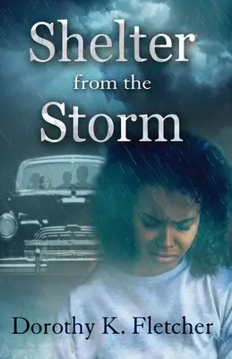 Adăpost de furtună - Shelter From The Storm