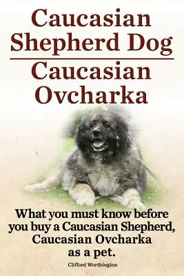 Câine ciobănesc caucazian. Ovcharka caucazian. Ce trebuie să știți înainte de a cumpăra un câine ciobănesc caucazian, Ovcharka caucazian ca animal de companie. - Caucasian Shepherd Dog. Caucasian Ovcharka. What You Must Know Before You Buy a Caucasian Shepherd Dog, Caucasian Ovcharka as a Pet.
