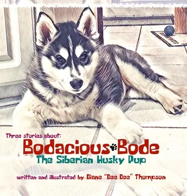 Bodacious Bode - Cățelul Husky Siberian - Bodacious Bode - The Siberian Husky Pup