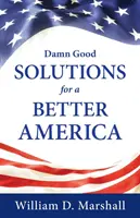 Soluții al naibii de bune pentru o Americă mai bună - Damn Good Solutions for a Better America