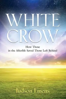 White Crow: Cum cei din viața de apoi i-au salvat pe cei rămași în urmă - White Crow: How Those in the Afterlife Saved Those Left Behind