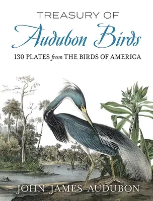 Trezoreria păsărilor Audubon: 130 de planșe din păsările Americii - Treasury of Audubon Birds: 130 Plates from the Birds of America