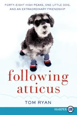 După Atticus LP - Following Atticus LP