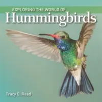 Explorarea lumii colibriilor - Exploring the World of Hummingbirds