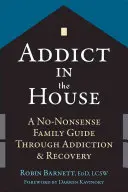 Dependent în casă: Un ghid de familie fără noimă prin dependență și recuperare - Addict in the House: A No-Nonsense Family Guide Through Addiction and Recovery