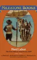 Muncă grea: Primii afro-americani, 1619 - Hard Labor: The First African Americans, 1619