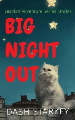Big Night Out: Povești din seria aventuri lesbiene - Big Night Out: Lesbian Adventure Series Stories