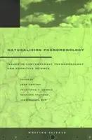 Naturalizarea fenomenologiei: Issues in Contemporary Phenomenology and Cognitive Science (Probleme în fenomenologia și științele cognitive contemporane) - Naturalizing Phenomenology: Issues in Contemporary Phenomenology and Cognitive Science