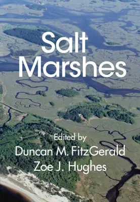 Salt Marshes: Funcție, dinamică și tensiuni - Salt Marshes: Function, Dynamics, and Stresses
