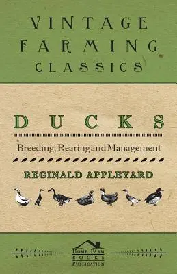 Rațe - Reproducere, creștere și gestionare - Ducks - Breeding, Rearing and Management