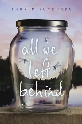 Tot ce am lăsat în urmă - All We Left Behind
