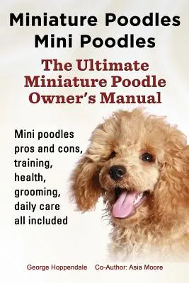 Miniature Poodles Mini Poodles. Miniature Poodles argumente pro și contra, dresaj, sănătate, îngrijire, îngrijire zilnică, toate incluse. - Miniature Poodles Mini Poodles. Miniature Poodles Pros and Cons, Training, Health, Grooming, Daily Care All Included.