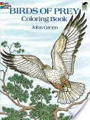 Cartea de colorat Păsări de pradă - Birds of Prey Coloring Book