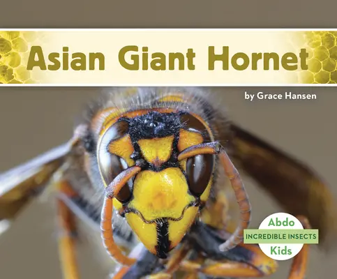 Viespea uriașă asiatică - Asian Giant Hornet