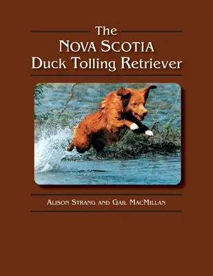 Retrieverul Nova Scotia Duck Tolling - The Nova Scotia Duck Tolling Retriever