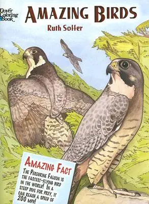 Păsări uimitoare Carte de colorat - Amazing Birds Coloring Book