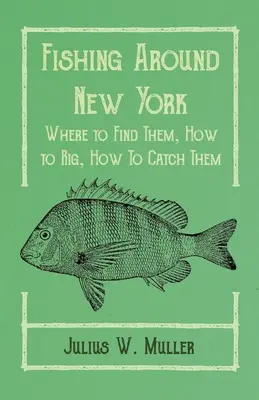 Pescuit în jurul New York-ului - Unde să le găsești, Cum să le montezi, Cum să le prinzi - Fishing Around New York - Where to Find Them, How to Rig, How To Catch Them