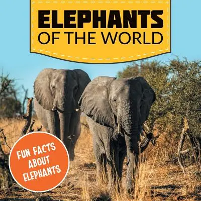 Elefanți din lume: Fapte amuzante despre elefanți - Elephants of the World: Fun Facts About Elephants