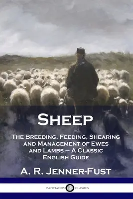 Oile: Creșterea, hrănirea, tunsul și gestionarea oilor și mieilor - Ghid clasic în limba engleză - Sheep: The Breeding, Feeding, Shearing and Management of Ewes and Lambs - A Classic English Guide