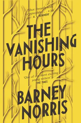Ore de dispariție - Vanishing Hours