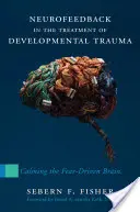 Neurofeedback în tratamentul traumei de dezvoltare: Calmarea creierului dominat de frică - Neurofeedback in the Treatment of Developmental Trauma: Calming the Fear-Driven Brain