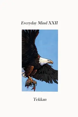 Mintea cotidiană XXII - Everyday Mind XXII