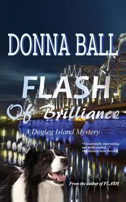 Flash de strălucire - Flash of Brilliance