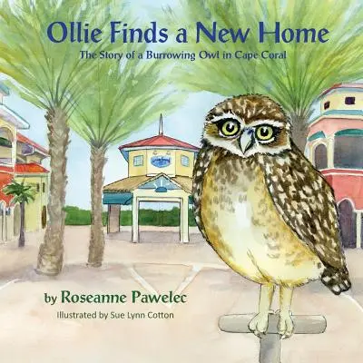 Ollie își găsește o nouă casă: Povestea unei bufnițe de vizuină din Cape Coral - Ollie Finds a New Home: The Story of Burrowing Owl in Cape Coral