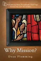 De ce misiune? - Why Mission?