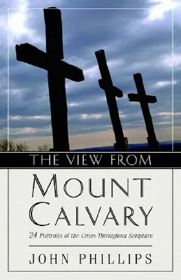 Vedere de pe Muntele Calvar - View from Mount Calvary