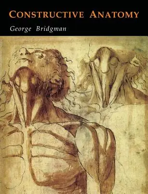 Anatomia constructivă - Constructive Anatomy