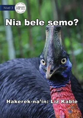 Poate zbura? - Nia bele semo? - Can It Fly? - Nia bele semo?