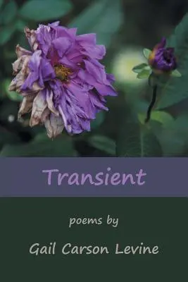 Trecătoare - Transient