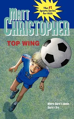 Aripa de sus - Top Wing