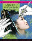 O introducere colorată în anatomia creierului uman: O carte de colorat despre creier și psihologie - A Colorful Introduction to the Anatomy of the Human Brain: A Brain and Psychology Coloring Book