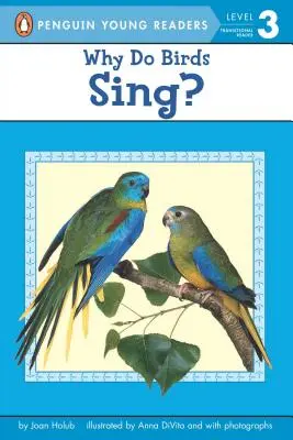 De ce cântă păsările? - Why Do Birds Sing?