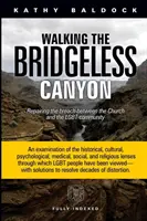 Walking the Bridgeless Canyon: Repararea rupturii dintre Biserică și comunitatea LGBTQ - Walking the Bridgeless Canyon: Repairing the Breach between the Church and the LGBTQ Community