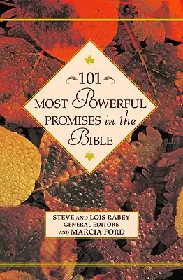 101 cele mai puternice promisiuni din Biblie - 101 Most Powerful Promises in the Bible