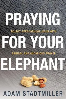 Rugându-te pentru elefantul tău: Apropierea îndrăzneață de Isus cu o rugăciune radicală și îndrăzneață - Praying for Your Elephant: Boldly Approaching Jesus with Radical and Audacious Prayer
