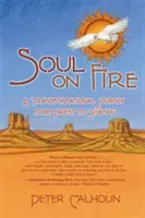 Suflet în flăcări: O călătorie transformațională de la preot la șaman - Soul on Fire: A Transformational Journey from Priest to Shaman