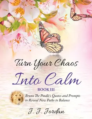 Transformă-ți haosul în calm - Turn Your Chaos Into Calm