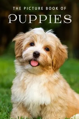 The Picture Book of Puppies: A Gift Book for Alzheimer's Patients and Seniors with Dementia