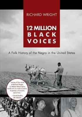 12 milioane de voci negre - 12 Million Black Voices